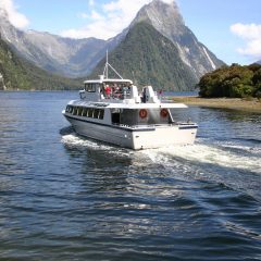 S’aventurer dans une croisière au Fjordland national park, à la Nouvelle-Zélande