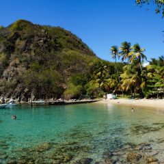 Se lancer dans le tourisme vert en Guadeloupe