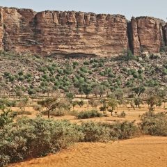 Un clin d’œil sur les merveilles du Mali