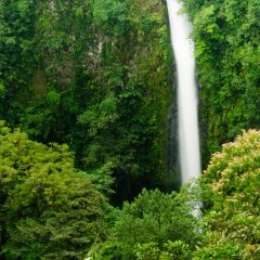 Le meilleur du Costa Rica en un clin d’œil