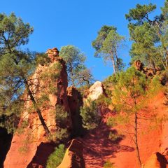 La France dans toute sa nature