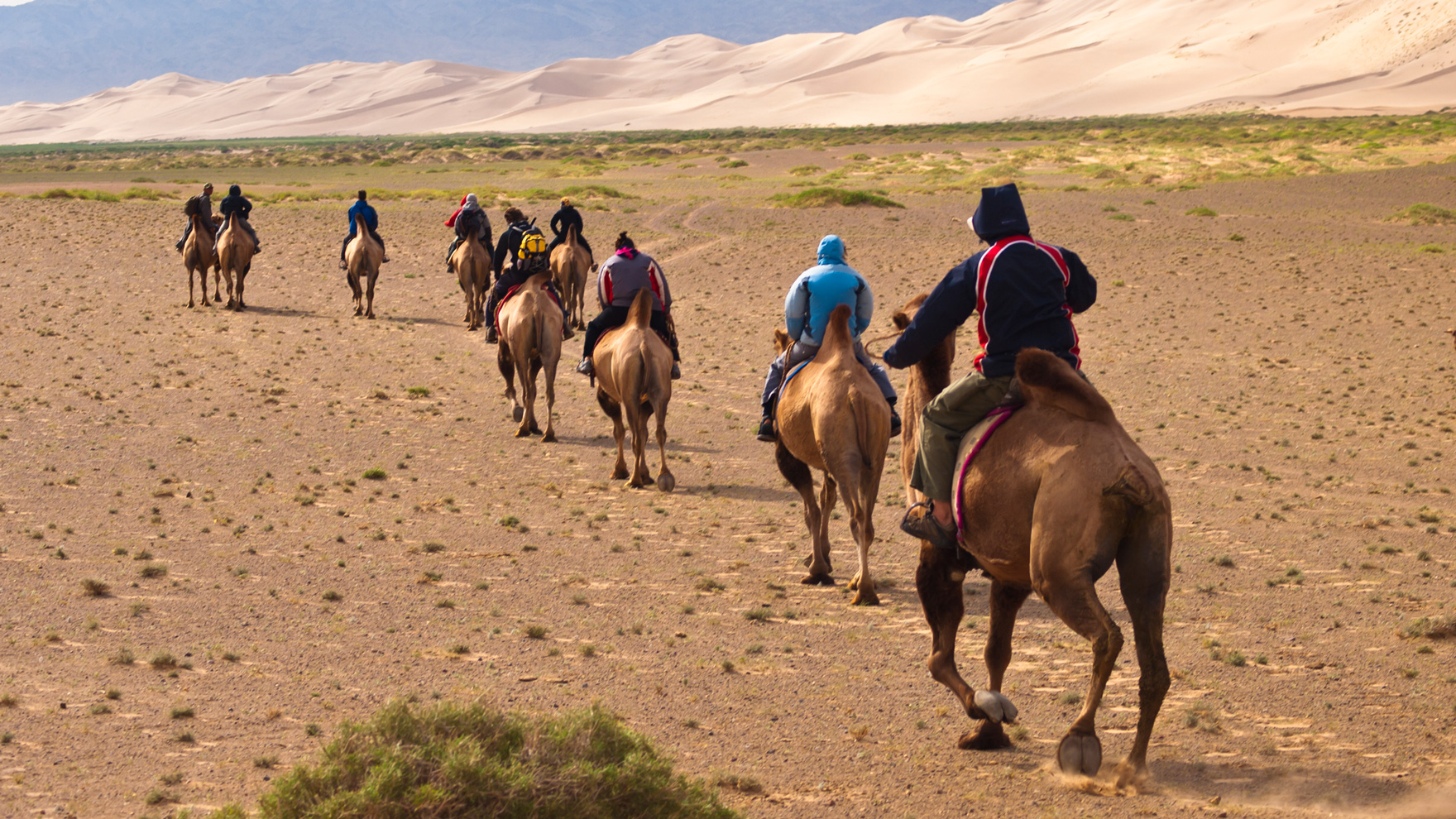 desert de gobi mongolie