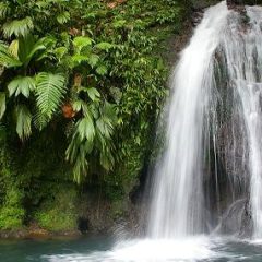 Découvrez les merveilles de l’île de la Guadeloupe