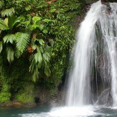 La Guadeloupe : une idée du Paradis