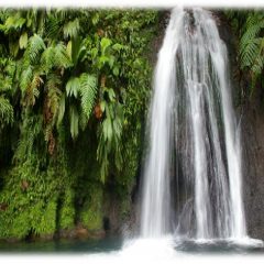 Découvrir les cascades de la Guadeloupe