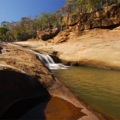 Madagascar : la découverte du parc national d’Andohahela