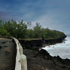 Plongée à la Réunion : 9 spots à découvrir absolument !