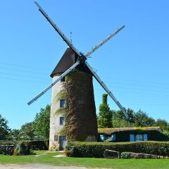 Passez un meilleur printemps dans la région de Vendée Vallée !