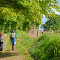 Voyage responsable: quelques conseils utiles  