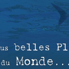 LA DOUCEUR BALINAISE MARIEE AUX PLUS BELLES PLONGEES  DE L’ÎLE, L’ASSURANCE D’UN EMERVEILLEMENT QUOTIDIEN