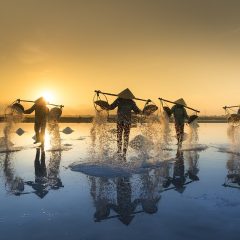 Circuit à la plage de Ninh Chu