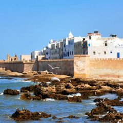 Les 5 meilleures excursions et activités à Essaouira