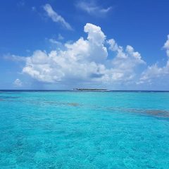 5 bonnes raisons de visiter les Grenadines en catamaran