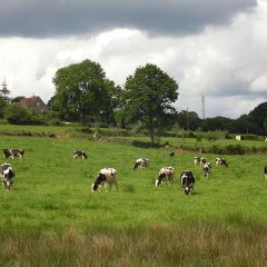 À la découverte du bocage normand sur deux roues