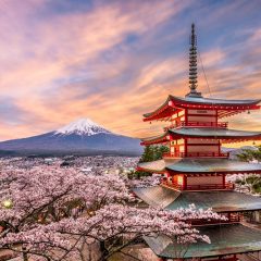 5 bonnes raisons pour faire un voyage au japon